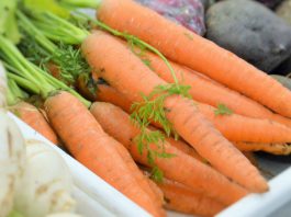 Cenoura laranja ou amarela: uma descoberta genética sobre níveis de carotenoides essenciais para a saúde humana