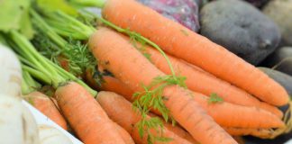 Cenoura laranja ou amarela: uma descoberta genética sobre níveis de carotenoides essenciais para a saúde humana Cenoura laranja ou amarela: uma descoberta genética sobre níveis de carotenoides essenciais para a saúde humana