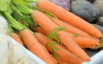 Cenoura laranja ou amarela: uma descoberta genética sobre níveis de carotenoides essenciais para a saúde humana