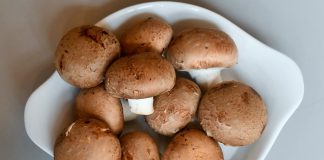 Cogumelos são alimentos com propriedades saudáveis
