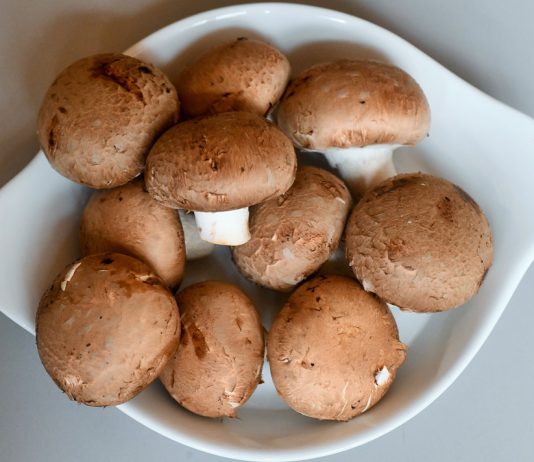 Cogumelos são alimentos com propriedades saudáveis