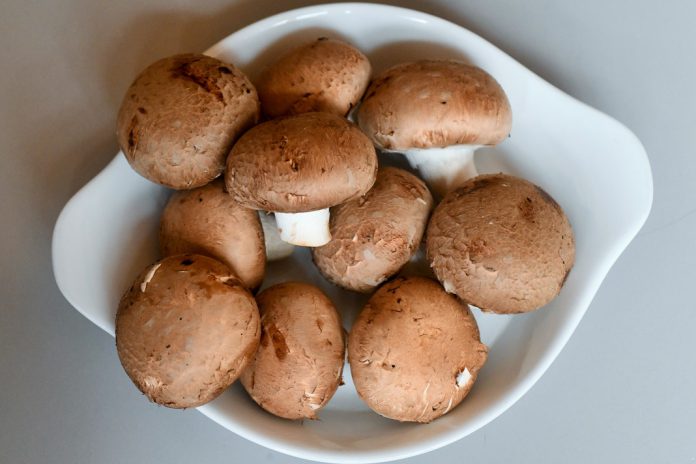 Dieta com cogumelos diminuiu risco de cancro