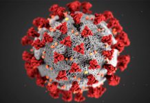 Novo teste rápido de antigénio deteta variante inglesa do coronavírus