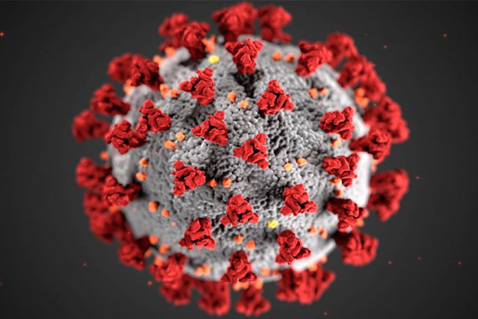 Variante Ómicron do SARS-VoV-2 é resistente aos anticorpos atuais