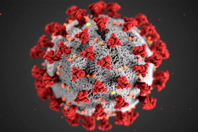 Algumas estirpes de coronavírus podem ser mais infeciosas que outras