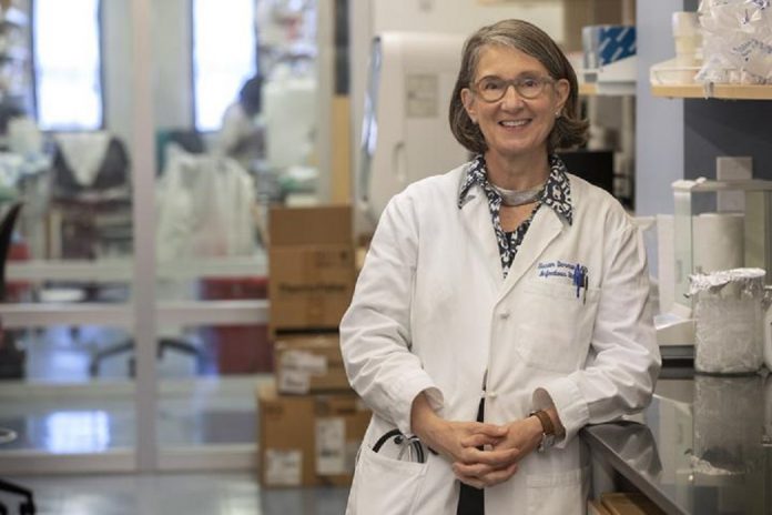 Novo regime de tratamento da tuberculose eficaz e com menor duração, (Susan Dorman, Medical University of South Carolina). Novo regime de tratamento da tuberculose eficaz e com menor duração, (Susan Dorman, Medical University of South Carolina).