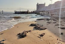 PAN/Lisboa denuncia “onda” de resíduos no rio Tejo