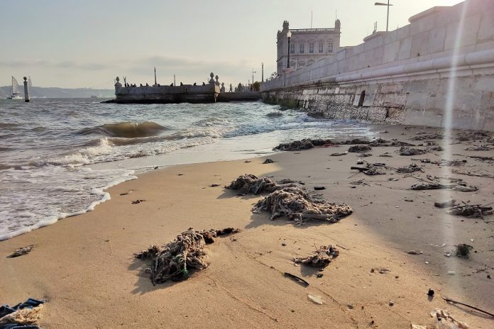 PAN/Lisboa denuncia “onda” de resíduos no rio Tejo