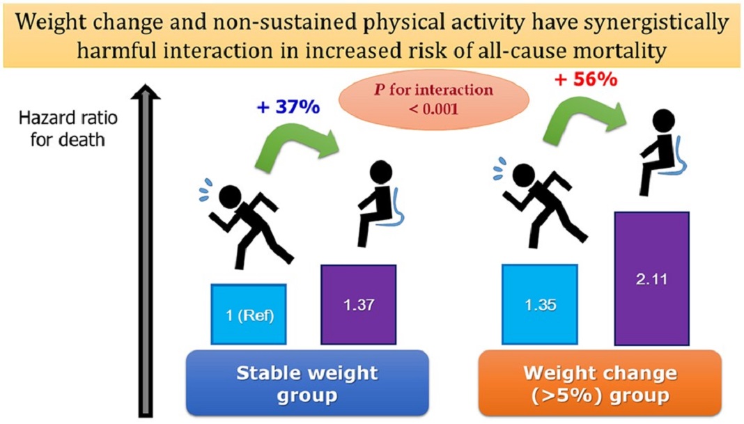 Mudança de peso e atividade física não sustentável tem sinergicamente interações prejudiciais no incremento de risco de todas as causas de mortalidade. Infografia: Oxford Academic