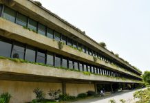 “Amazônia” de Sebastião Salgado em concerto com a Orquestra Gulbenkian