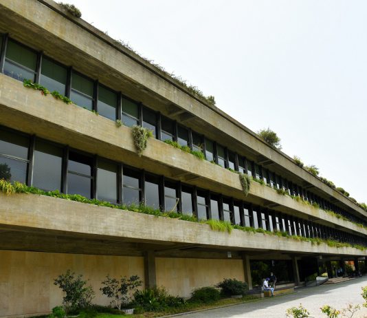 “Amazônia” de Sebastião Salgado em concerto com a Orquestra Gulbenkian