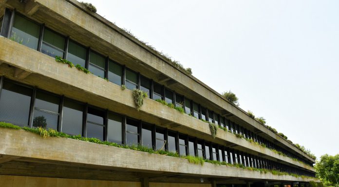“Amazônia” de Sebastião Salgado em concerto com a Orquestra Gulbenkian “Amazônia” de Sebastião Salgado em concerto com a Orquestra Gulbenkian