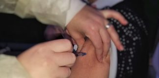 Nanovacina prova ser eficaz no tratamento de cancros induzidos pelo Vírus do Papiloma Humano Nanovacina prova ser eficaz no tratamento de cancros induzidos pelo Vírus do Papiloma Humano