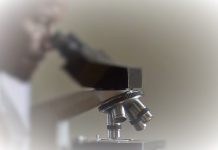 OMS prevê um crescente aumento de casos de cancro OMS prevê um crescente aumento de casos de cancro