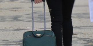 União Europeia atribui Cartão Azul a 89 mil imigrantes altamente qualificados em 2023