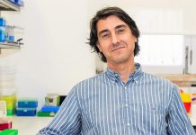 “Medicamento órfão”: nanoparticula para combate ao cancro desenvolvida em Coimbra