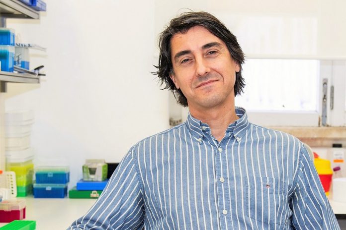 “Medicamento órfão”: nanoparticula para combate ao cancro desenvolvida em Coimbra “Medicamento órfão”: nanoparticula para combate ao cancro desenvolvida em Coimbra