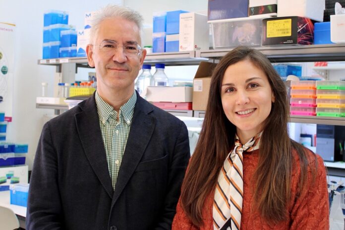 Medicamento para tratar Epilepsia pode vir a tratar Doença de Machado-Joseph Medicamento para tratar Epilepsia pode vir a tratar Doença de Machado-Joseph