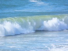 PNUD lança “Ocean Promise” para recuperar economia azul