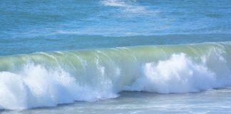 PNUD lança “Ocean Promise” para recuperar economia azul