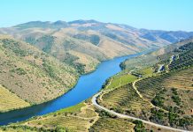 Procedimentos de registo no BUPi são gratuitos até setembro de 2026