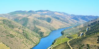 Procedimentos de registo no BUPi são gratuitos até setembro de 2026