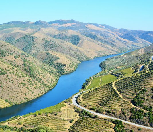 Procedimentos de registo no BUPi são gratuitos até setembro de 2026