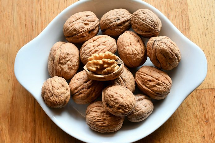 Frutos Secos em Beja no III Congresso Portugal Nuts