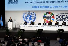 Cuidar da saúde dos oceanos é já uma emergência global