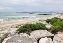 Praias na costa portuguesa estão a diminuir fortemente