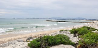 Praias na costa portuguesa estão a diminuir fortemente