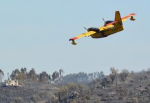 Comissão Europeia mobiliza bombeiros e aeronaves para combater incêndios em Portugal e França Comissão Europeia mobiliza bombeiros e aeronaves para combater incêndios em Portugal e França