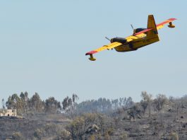 Comissão Europeia mobiliza bombeiros e aeronaves para combater incêndios em Portugal e França