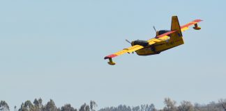Comissão Europeia mobiliza bombeiros e aeronaves para combater incêndios em Portugal e França
