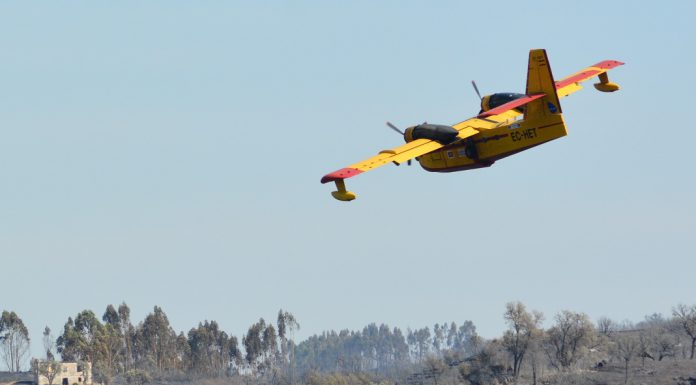 Comissão Europeia mobiliza bombeiros e aeronaves para combater incêndios em Portugal e França Comissão Europeia mobiliza bombeiros e aeronaves para combater incêndios em Portugal e França