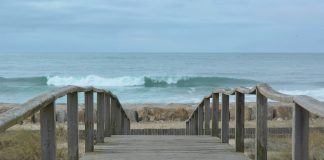 Dia Mundial dos Oceanos com anúncios de apoio a uma Economia Azul Sustentável