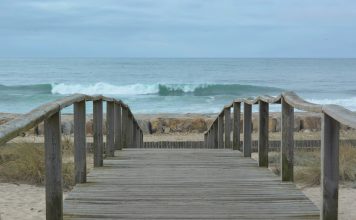 Dia Mundial dos Oceanos com anúncios de apoio a uma Economia Azul Sustentável
