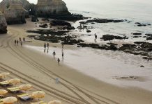 Milhares de voluntários vão limpar as praias portuguesas