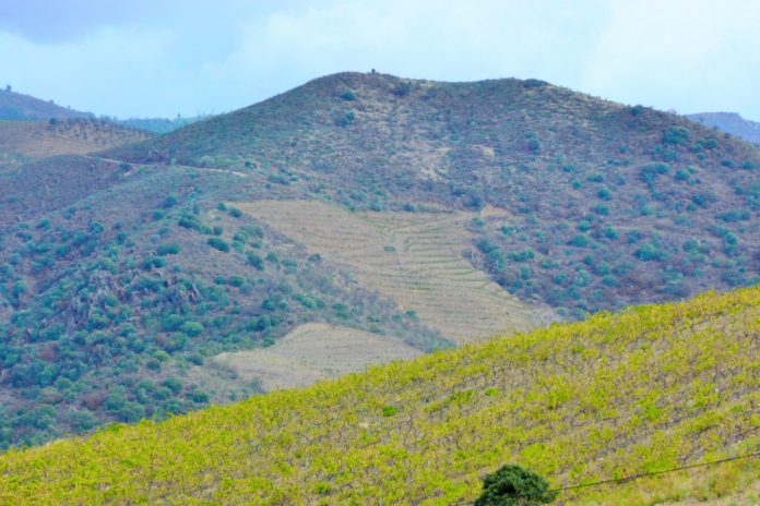 Bragança: Registo de Prédios Rústicos - BUPi - pode estar em risco