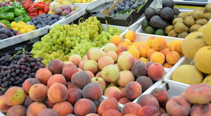Eurodeputados querem mais fruta, legumes e leite nas escolas