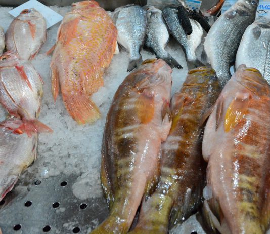 Suplementos de óleo de peixe podem não prevenir o declínio cognitivo e a doença de Alzheimer