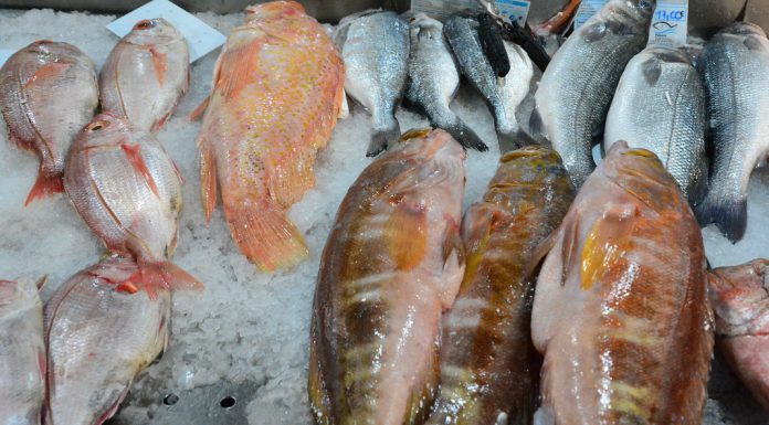 Suplementos de óleo de peixe podem não prevenir o declínio cognitivo e a doença de Alzheimer Suplementos de óleo de peixe podem não prevenir o declínio cognitivo e a doença de Alzheimer