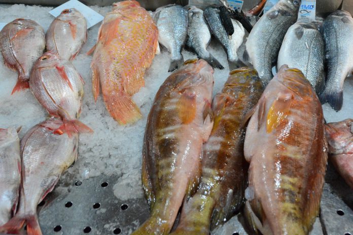 Suplementos de óleo de peixe podem não prevenir o declínio cognitivo e a doença de Alzheimer Suplementos de óleo de peixe podem não prevenir o declínio cognitivo e a doença de Alzheimer
