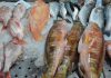 Embarcações de pesca vão ter câmaras de vídeo e sistemas de localização
