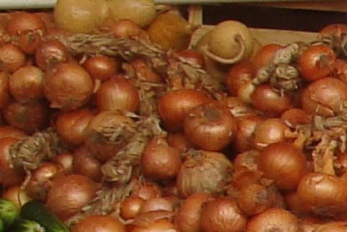 “Cebola da Madeira” com Denominação de Origem Protegida