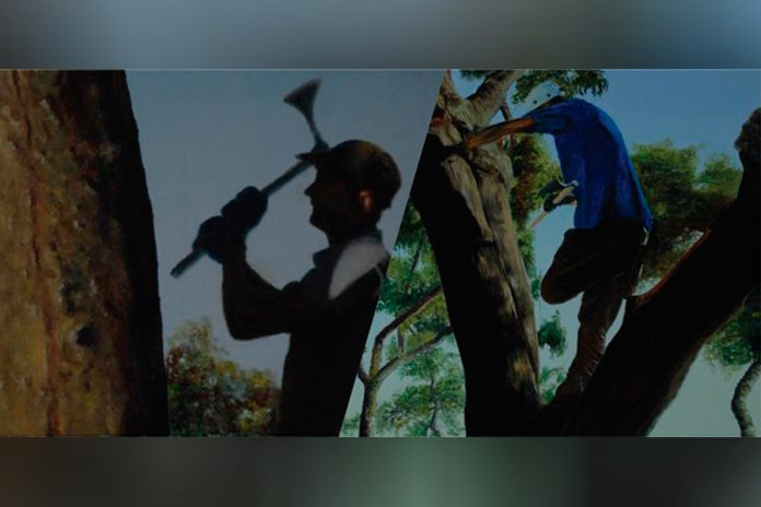 “Os Descortiçadores”: Uma exposição de Claude Yersin