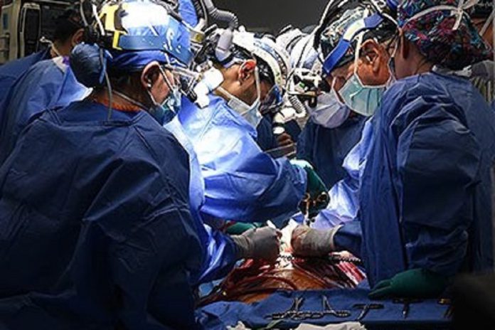 Realizado transplante de coração de porco em paciente com doença cardiovascular