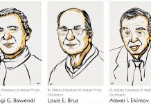 Prémio Nobel da Química 2023 atribuído por descobertas em componentes de nanotecnologia