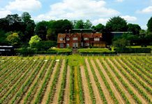 Symington e a Berry Bros. & Rudd aquirem produtor inglês de espumante Hambledon Vineyard