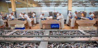 Pinhais celebra Dia Mundial da Sardinha com especialidade exclusiva